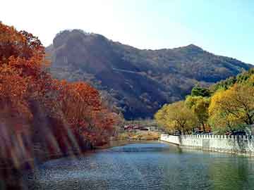 澳门天天免费精准大全，发现4论坛